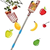 Harrms Fruit Picker Pole Tool, 13 FT Fruit Catcher with Lightweight Stainless Steel Telescoping Pole, Fruit Picking Equipment for Getting Fruits
