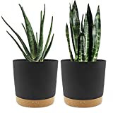 Plant Pots Set of 2 Pack 8 inch,Planters for Indoor Plants with Drainage Holes and Removable Base,Saucer Modern Decorative for Outdoor Garden Planters(Dark Grey 8in)