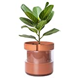 8 Inch Self Watering Planter Pot, Terracotta Clay Pot with Glass Reservoir for Indoor Plants, Herbs, Succulents, Flowers