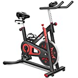 RELIFE REBUILD YOUR LIFE Exercise Bike Indoor Cycling Bike Stationary Bicycle with Resistance Workout Home Gym Cardio Fitness Machine Upright Bike