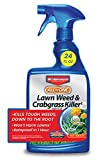 BAYER CROP SCIENCE 704125 All-in-One Lawn Weed and Crabgrass Killer Ready-To-Use, 24-Ounce