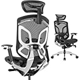 ERGOUP Ergonomic Office Chair Mesh High Back Desk Chair with 4D Armrest 3D Headrest, Mesh Computer Chair with Adjustable Lumbar Support, 160°Rocking Gaming Chairs, Executive Swivel Chair