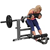Body-Solid GCAB360 Cam Series Ab and Back Machine, Strengthen and Tone Abdominal and Back Muscles, Grey,
