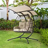 RICHRYCE Egg Chair, Hammock Chair, Hanging Chair, Basket Hammock Nest Chair with Cushion and Awning, 2 Person Egg Chair with Stand, Swinging Loveseat for Indoor Outdoor Patio, Balcony, Garden