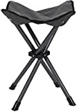 Stansport Apex Fold-Up Stool (G-140)