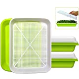 2-Pack Seed Sprouter Tray BPA Free PP Soil-Free Big Capacity Healthy Wheatgrass Grower Sprouting Container Kit with Lid (2, Green)