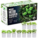 REALPETALED Indoor Herb Garden 10 Non-GMO Herbs– Complete Kitchen Herb Garden with 10 Reusable Pots, Drip Trays, Soil Discs and Seed Packets