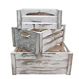 Admired By Nature Rustic White Set of 3 Distressed Decorative Wood Crates Storage Container
