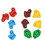 TOPNEW 10PCS Climbing Holds for Kids, Rock Wall Climbing Kit with Hardware for Indoor and Outdoor Climbing Wall