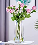 Aoderun Clear Glass Vase for Decor Home Handmade Modern Large Flower Vases for Centerpieces Living Room Kitchen Office Wedding 8.7 Inch (Clear)