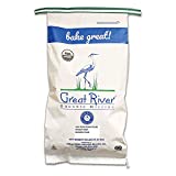 Great River Organic Milling, Specialty Flour, Buckwheat Flour, Organic, 25-Pounds (Pack of 1)