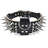 PET ARTIST 2' Wide Luxury Genuine Leather Spiked Studded Dog Collars for Medium & Large Dogs,Black,XL,Neck for 21-24'