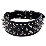 Hoot PU Leather Adjustable Spiked Studded Dog Collar 2' Wide 31 Spikes (S(Neck 17'-20'), Black)