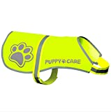 Originals Dog Hunting Vest Blaze Orange Thunder Vest for Dogs Waterproof High Reflective Safety Harness