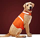 Dog Jacket High Visibility Safety Reflective Dog Vest for Small Medium Large Dogs (Large, Orange)
