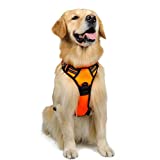 rabbitgoo Dog Harness,No-Pull Pet Harness with 2 Leash Clips,Adjustable Soft Padded Dog Vest,Reflective No-Choke Pet Oxford Vest with Easy Control Handle for Large Breeds,Orange (L, Chest 20.5-36')