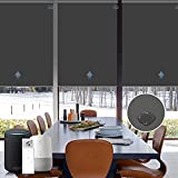 Graywind Motorized Roller Shade Blinds 100% Blackout Shades Cordless Waterproof Remote Control Window Automated Blinds with Valance Custom Size for Smart Home and Office, Dark Grey