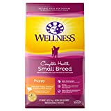 Wellness Complete Health Small Breed Dry Puppy Food, Turkey, Salmon & Oatmeal, 4-Pound Bag