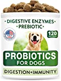 Dog Probiotics Chews - Gas, Diarrhea, Allergy, Constipation, Upset Stomach Relief, with Digestive Enzymes + Prebiotics - Chewable Fiber Supplement - Improve Digestion, Immunity - Made in USA - 120 Ct