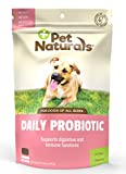 Pet Naturals Daily Probiotic for Dogs, Duck Flavor, 160 Bite Sized Chews - Vet Recommended Digestive and Immune Support Supplement