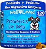 Well Loved Probiotics for Dogs - Dog Probiotics and Digestive Enzymes, Made in USA, Vet Developed, Dog Probiotic Chews with Prebiotics, Diarrhea Treatment, for Itchy Skin, Gut Health & Gas Relief