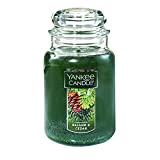 Yankee Candle Balsam & Cedar Scented, Classic 22oz Large Jar Single Wick Candle, Over 110 Hours of Burn Time