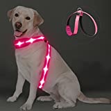 PZRLit Lighted Dog Harness, Light Up Dog Vest Harness, LED Dog Harness Rechargeable Soft Padded, Waterproof, Dog Light Vest Reflective, Glow Dark Dog Harness for Night Walking, Large Pink
