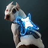 WINSEE Reflective LED Dog Harness for Night Walking, USB Rechargeable No-Pull Dog Vest Adjustable 7-Mode Light up Dog Harness for Small, Medium, Large, and Extra-Large Dogs (X-Large)