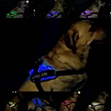Petest LED Dog Harness Light Up Dog Harness with Multicolor Luminous Glowing, USB Rechargeable No Pull Reflective Dog Vest Harness for Night Walking Adjustable Dog Vest for Large Dogs Less Than 60lbs