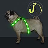 KOSKILL Light Up Dog Harness,Led Dog Harness Rechargeable,Lighted Dog Harness Glow in The Dark, LED Dog Vest Reflective,Light Up Harness for Dogs,Dog Lights for Night Walking