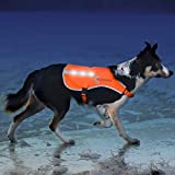 ILLUMISEEN LED Dog Vest | Orange Safety Jacket with Reflective Strips & USB Rechargeable LED Lights | Increase Dog’s Visibility When Walking, Running, Training Outdoors (Medium, Orange)