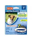 Hartz UltraGuard Flea & Tick Collar for Dogs and Puppies, 7 Month Flea and Tick Protection and Prevention Per Collar, Reflective, Up to 20 Inch Neck