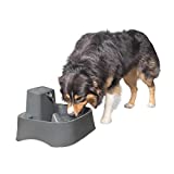 PetSafe Drinkwell Fountain for Cats and Dogs – Fountain Filter and Pump Included - Dog and Cat Water Fountain - Dispenser Entices Pets to Drink – Automatic Water Bowl - Adjustable - 2-Gallon Capacity