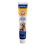 Arm & Hammer for Pets Tartar Control Enzymatic Toothpaste for Dogs | Reduces Plaque & Tartar Buildup | Safe for Puppies | Beef Flavor, 2.5 Ounces Dog Toothpaste