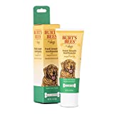 Burt's Bees for Dogs Fresh Breath Toothpaste for Dogs with Peppermint Oil | 99.5% Natural Dog Toothpaste in Fresh Mint Flavor to Naturally Freshen Dog Breath | Dog Oral Care Dog Toothpaste, 2.5 Oz