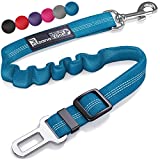 Seat Belt for Dogs with Elastic Bungee Buffer | Car Travel Accessories for Dogs Adjustible, Elastic (Blue)