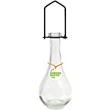 Couronne Company Hanging Drop Recycled Glass Rooting Vase, M370-6514, 9 Inch Tall, 8 Ounce, Clear, 1 Piece