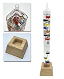 Glassic Gifts® Square Tube Galileo Thermometer with Wooden Base (25' Tall)