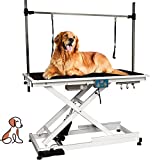 Heavy Duty Electric Lifting Pet Dog Grooming Table for Large Dogs with Overhead Arm, Anti-Skid Rubber Desktop and Powerful Motor, 50''/Black