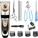 Ceenwes Dog Clippers Low Noise Pet Clippers Rechargeable Dog Trimmer Cordless Pet Grooming Tool Professional Dog Hair Trimmer with Comb Guides Scissors Nail Kits for Dogs Cats & Other(Gold)