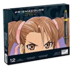 Prismacolor 1759444 Premier Double-Ended Art Markers, Fine and Chisel Tip, Manga Colors, 12-Count