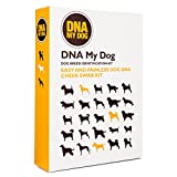 Dna My Dog Canine Breed Identification Test