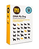 Dna My Dog Genetic Testing Kit – Mixed Breed Identification, Personality Traits, & Canine Hereditary Health Screening – for Puppies to Adult Dogs, Non-Invasive Cheek Swab - Pack of 2