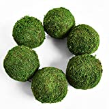 Vumdua Moss Ball, Natural Decorative Green Globes with Handmade, Hanging Balls Vase Bowl Filler for Home Party &Weddings Display Decor Props (3.5'-Set of 6)