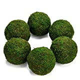 Farmoo Moss Balls Preserved All Natural, 3.5'-Set of 6 (Natural Green)