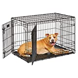 Dog Crate | MidWest Life Stages 36' Double Door Folding Metal Dog Crate | Divider Panel, Floor Protecting Feet, Leak-Proof Dog Pan | 36L x 23W x 25H Inches, Intermediate Dog Breed
