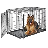 XL Dog Crate | MidWest Life Stages Double Door Folding Metal Dog Crate | Divider Panel, Floor Protecting Feet, Leak-Proof Dog Pan | 48L x 30W x 33H Inches, XL Dog Breed