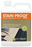 DRY-TREAT Stain-Proof Premium Impregnating Sealer for Stone, Tile, Concrete, Grout, and More - 110513-1 Quart