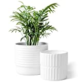 LA JOLIE MUSE Ceramic Planter Set of 2 - 6.5 Inch Ridged Flower Pot with Drain Hole for Indoor, Horizontal and Vertical Ring-Patterned, Bright White