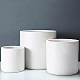 FOPAMTRI Plant Pot Set Matte White Ceramic Planter for Indoor Outdoor Plants Flowers Small 6 inch Medium 8 inch Large 10 Inch Modern Cylinder Flower Pot with Drainage Hole and Plug,Full Glazed Finish